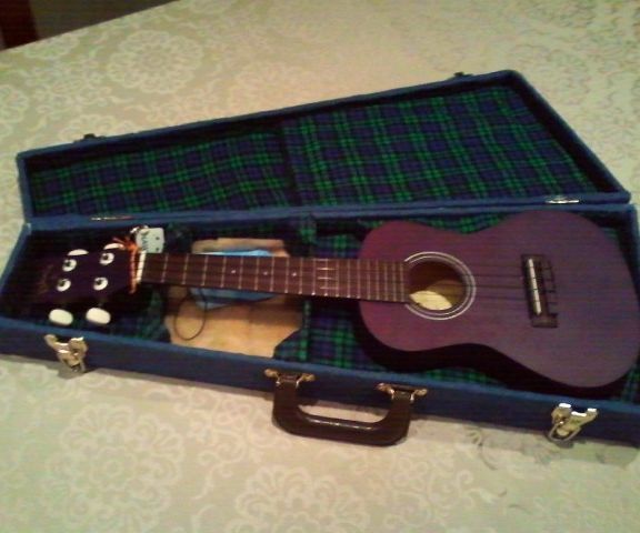 DIY Ukelele Case 