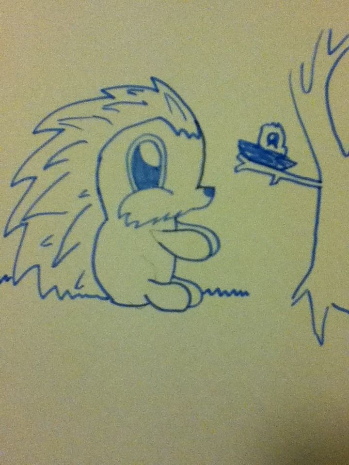 How to Draw a Porcupine