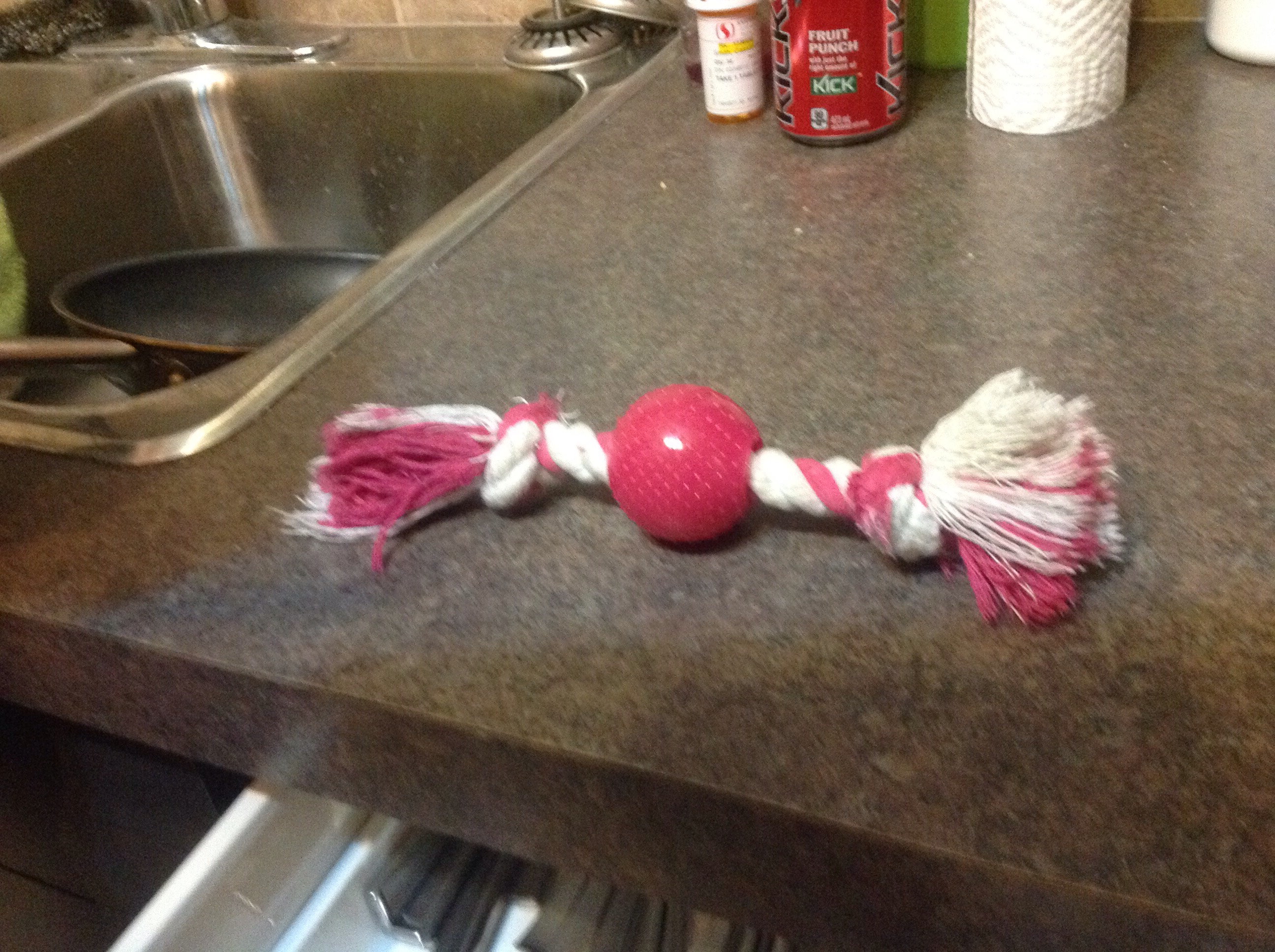 Easy Dog Toy! 4 Steps Instructables