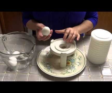 How to Use the EGGSTRACTOR