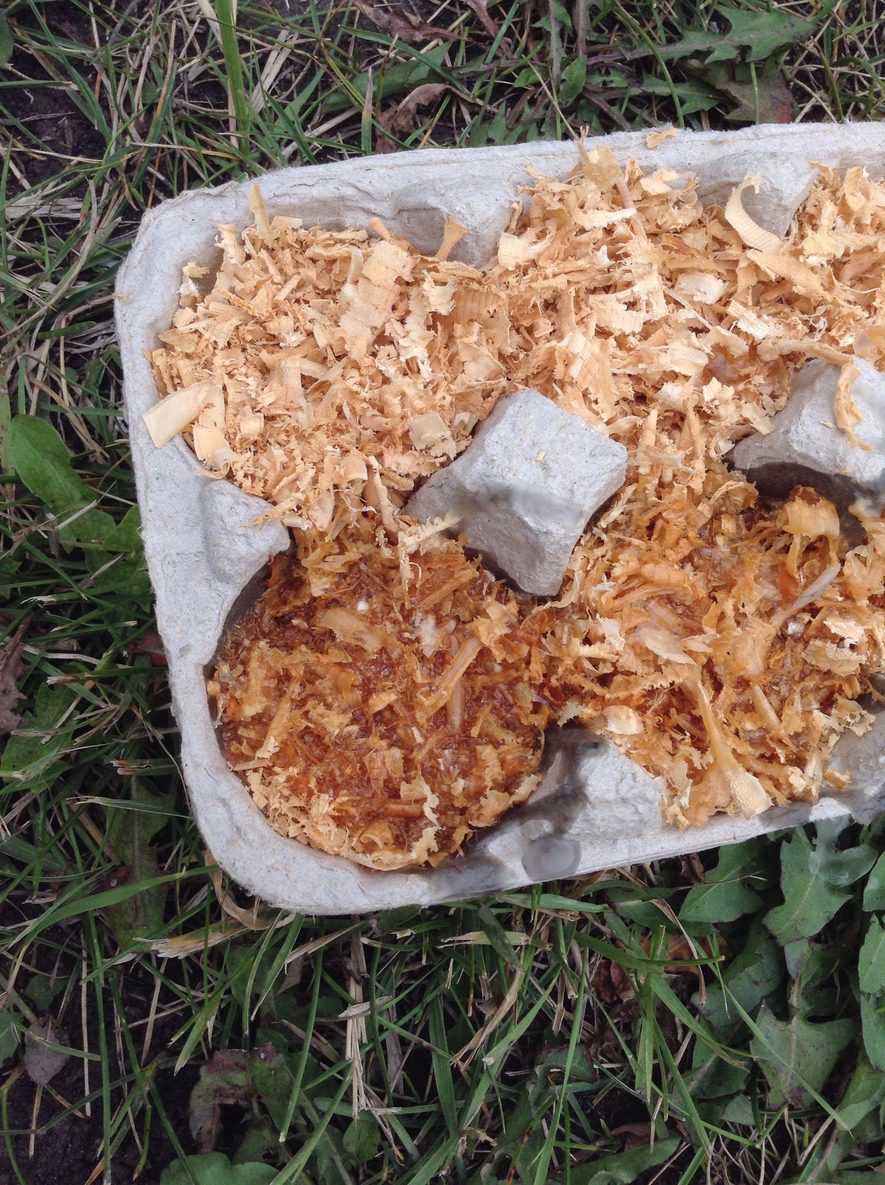 Waterproof Fire Starter From Reused Egg Cartons 4 Steps Instructables