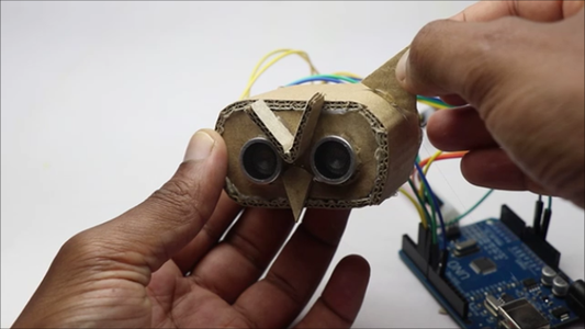 Making the Owl