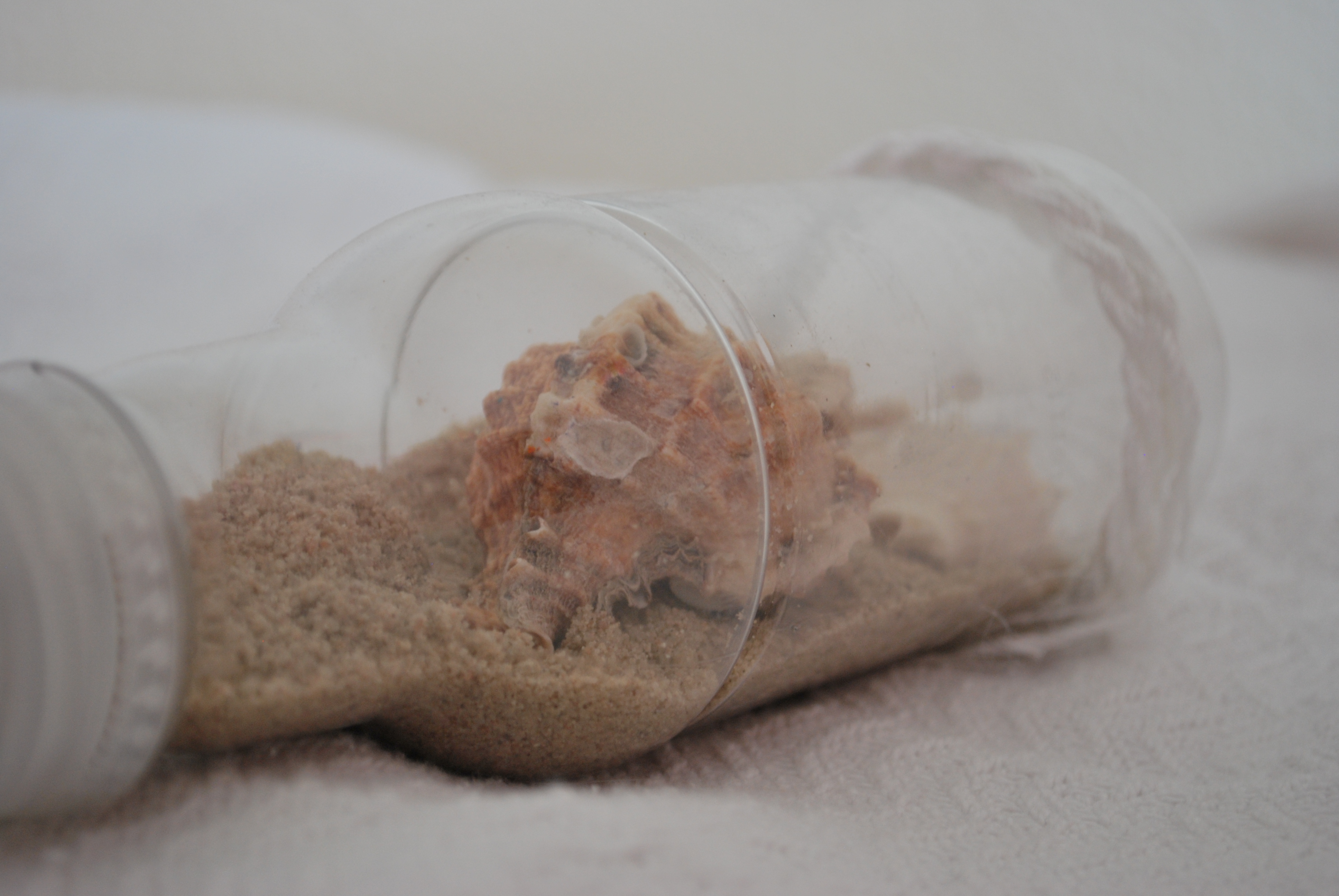 Seashells in a Bottle