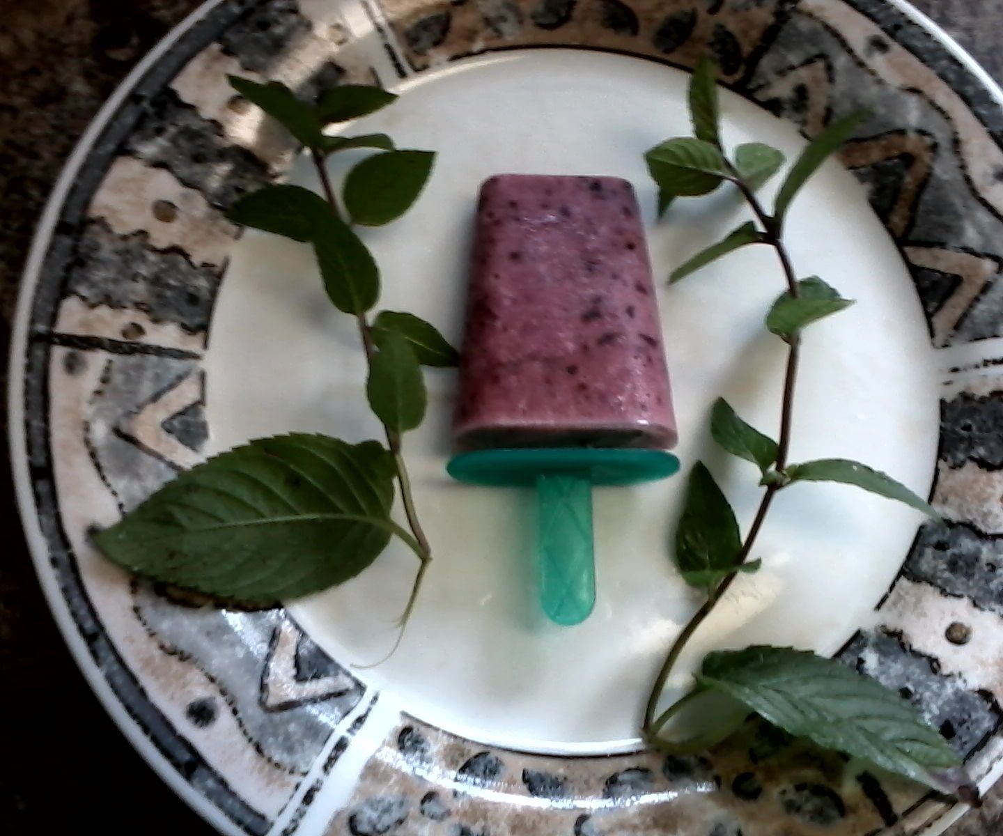 Rejuvenating Coconut Antioxident Popsicle
