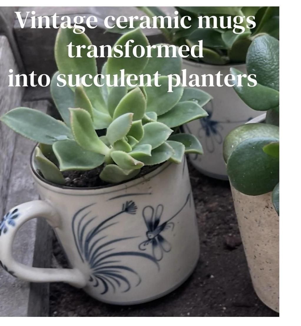 DIY Mug Planters WITH DRAINAGE / Creative Upcycled Reuse : 4 Steps - Instructables