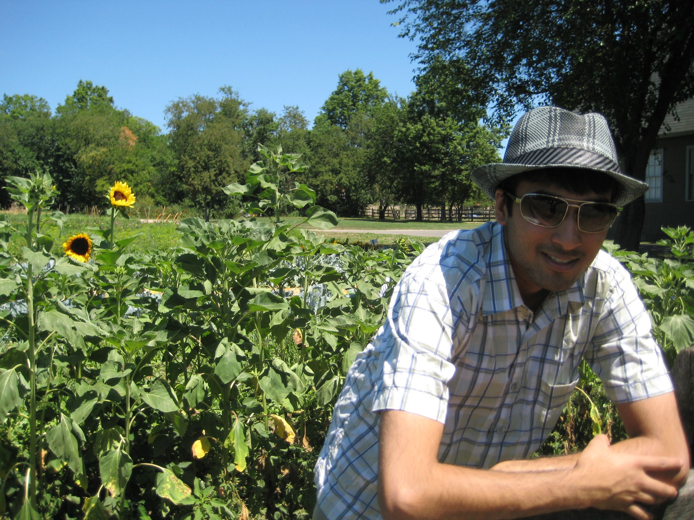 author