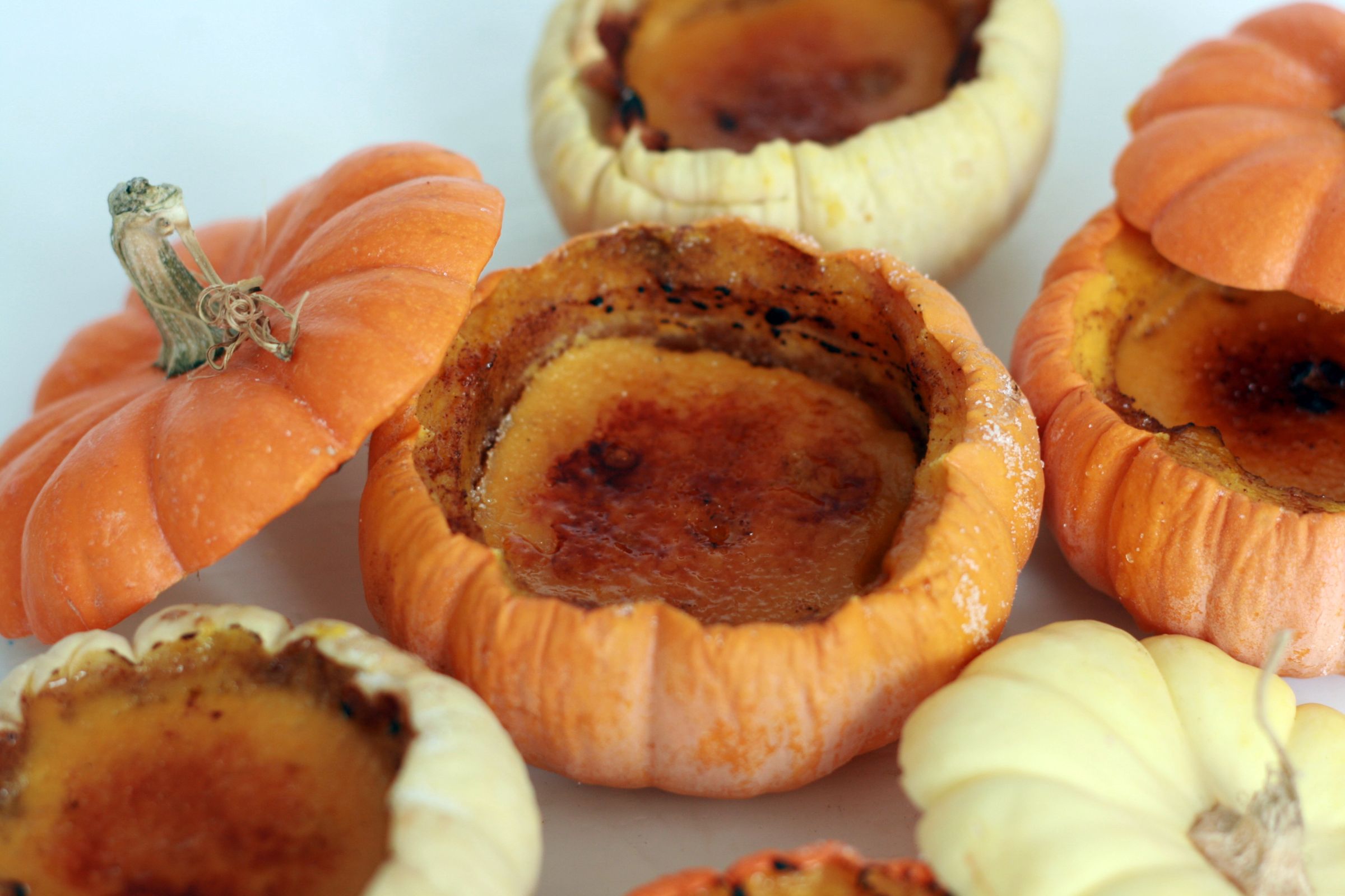 Pumpkin Creme Brulee