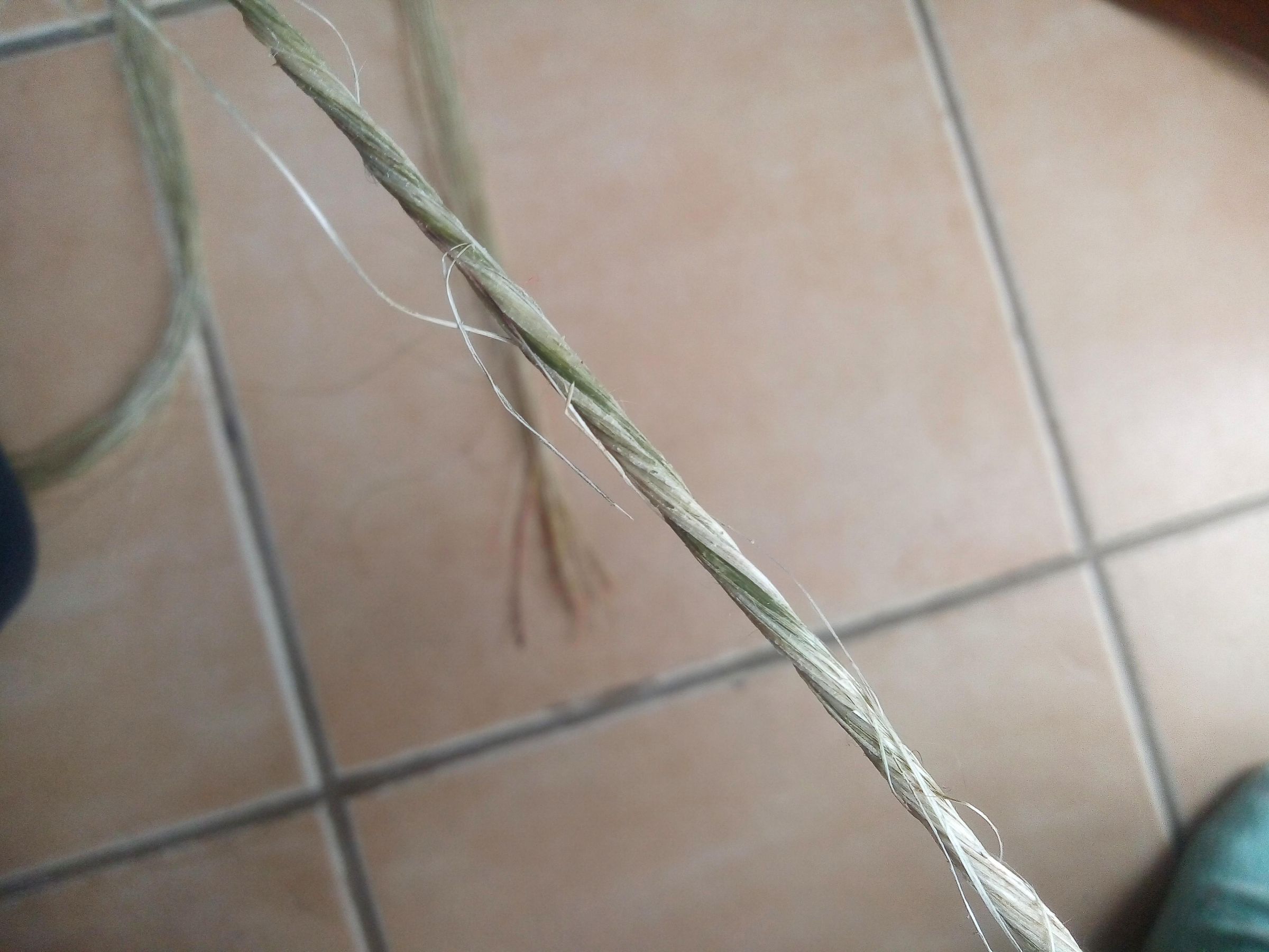 How to Make Rope / String With Natural Plant Fibers : 6 Steps (with ...