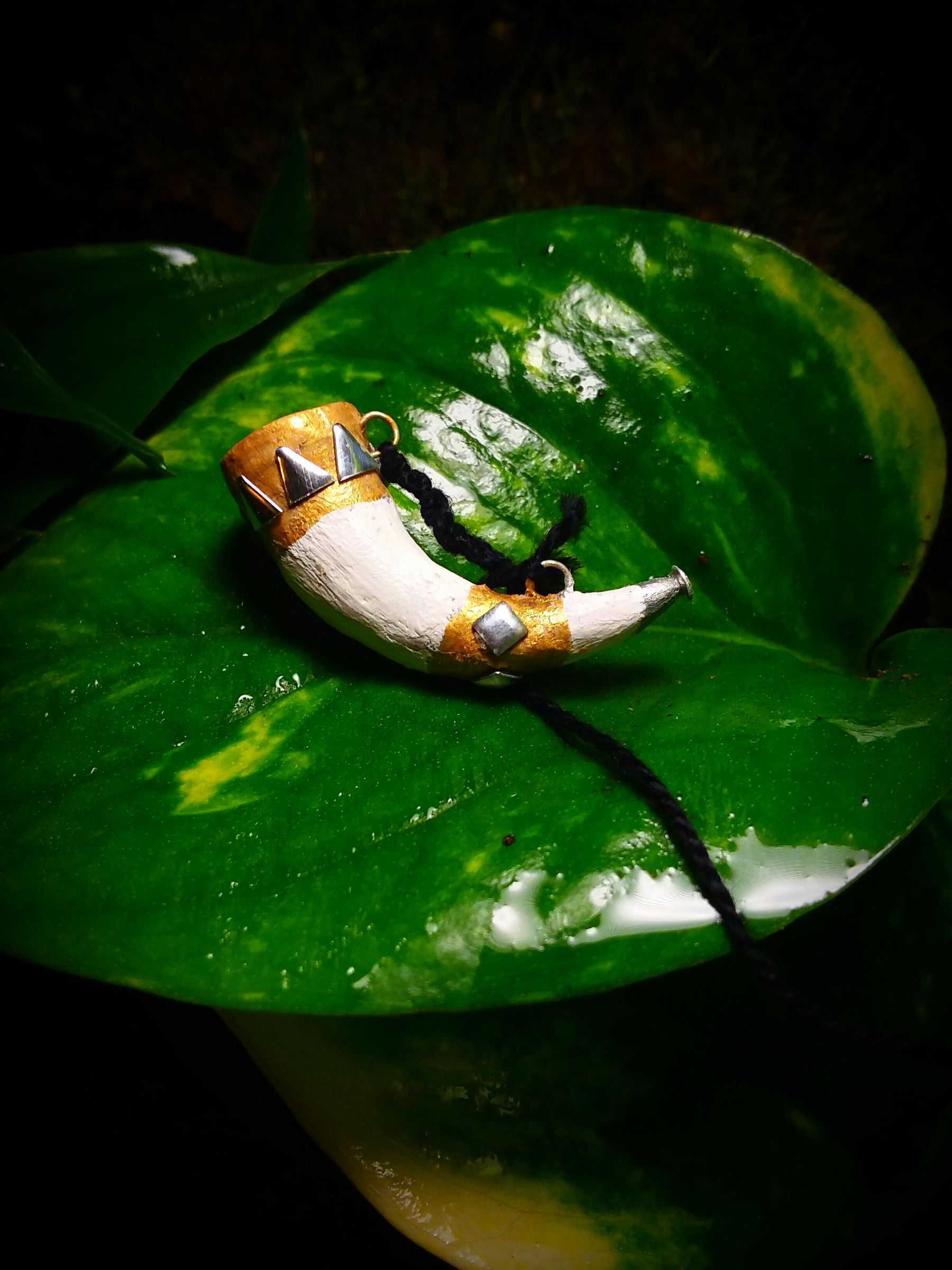 Little Horn of Gondor