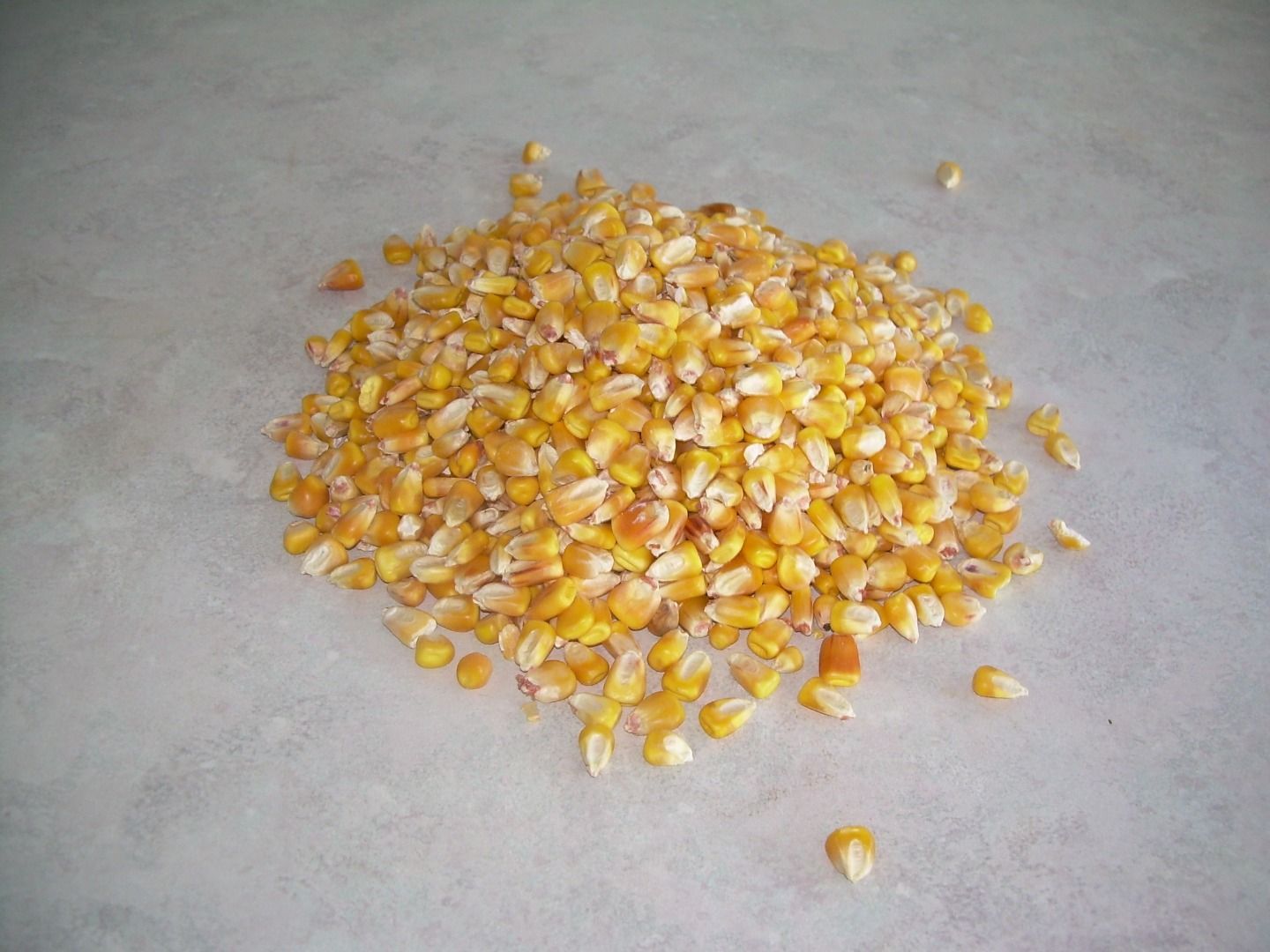 How to Eat Deer Corn 4 Steps (with Pictures) Instructables