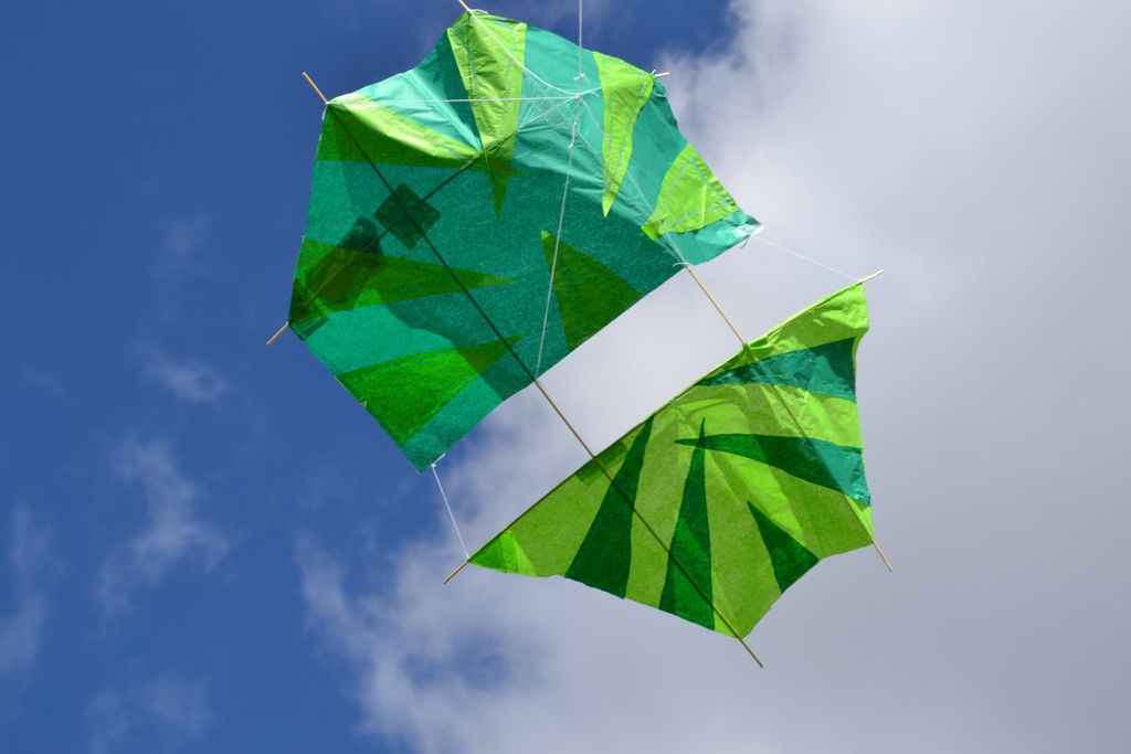 True Kite Dopero Kite