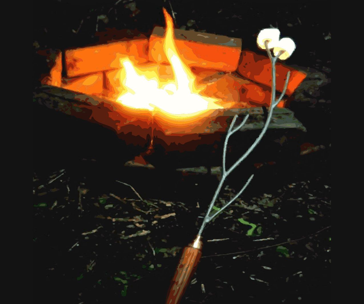 Ultimate Marshmallow Roasting Sticks