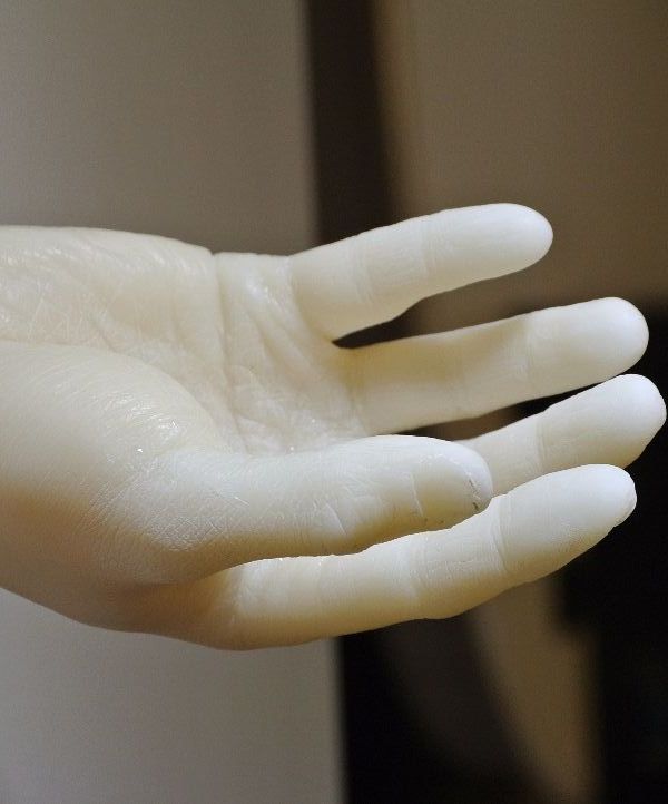 How to Lifecast a Hand With Alginate