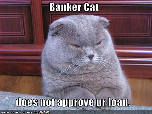 World's Funniest  Pictures