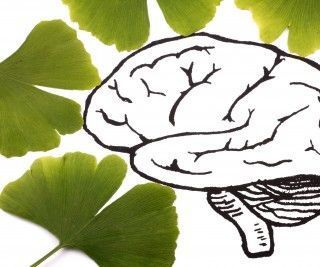 5 Beneficial Tips to Retain Healthy Brain Forever