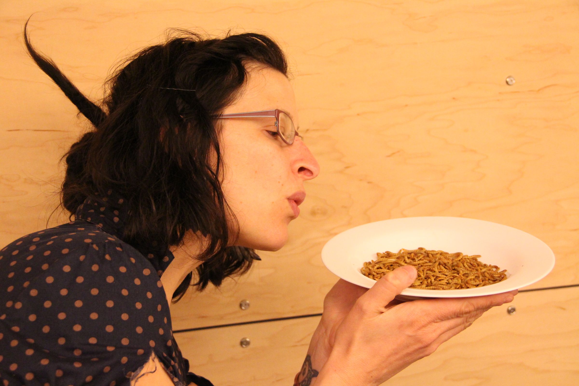 Insects for FoodPrep. 101 11 Steps (with Pictures) Instructables