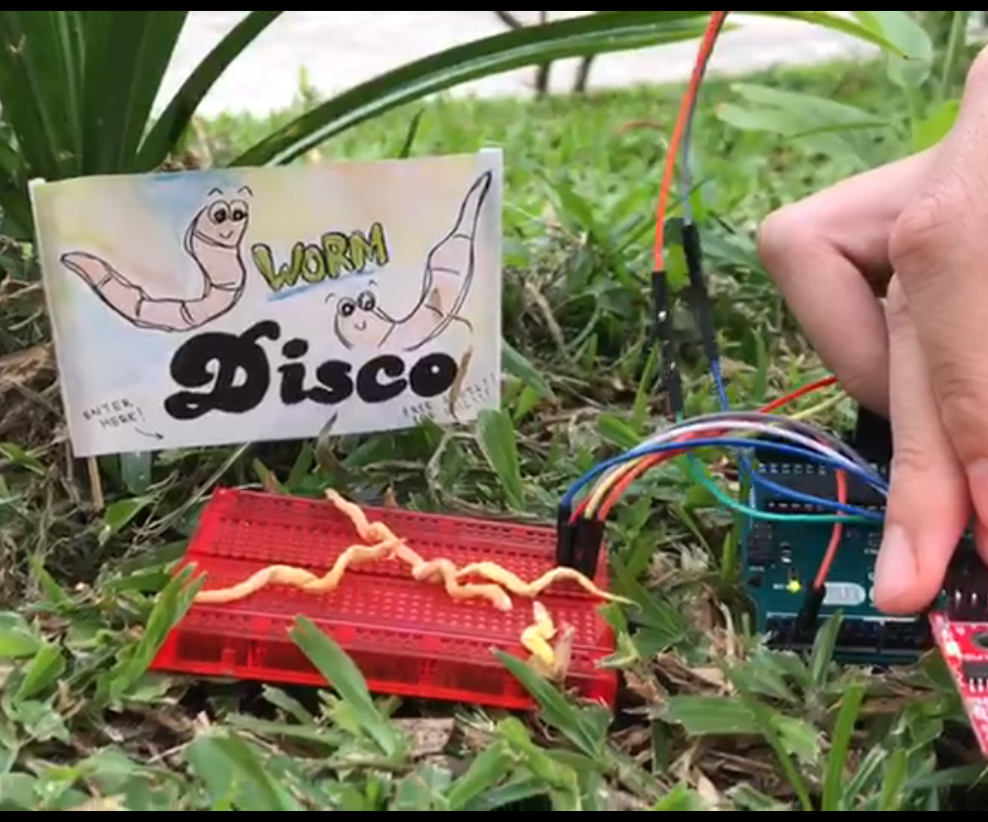 Lady Gaga Worm Disco 