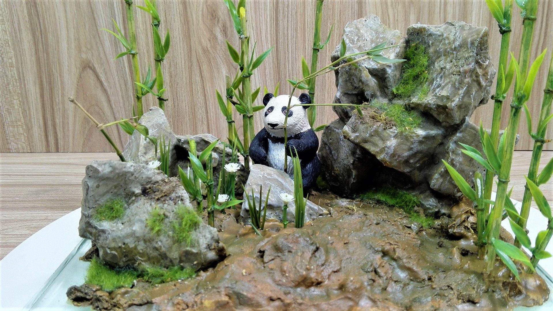 DIY Giant Panda in Bamboo Forest, Realistic Diorama. : 3 Steps