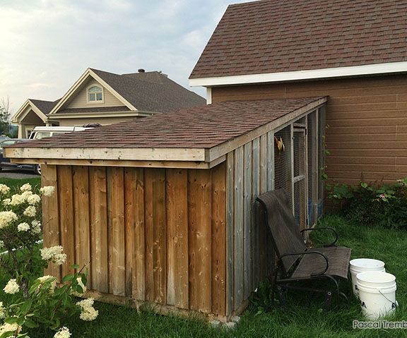 Lean-to Chicken Coop - Build Slanted Roof Backyard Hen Coop