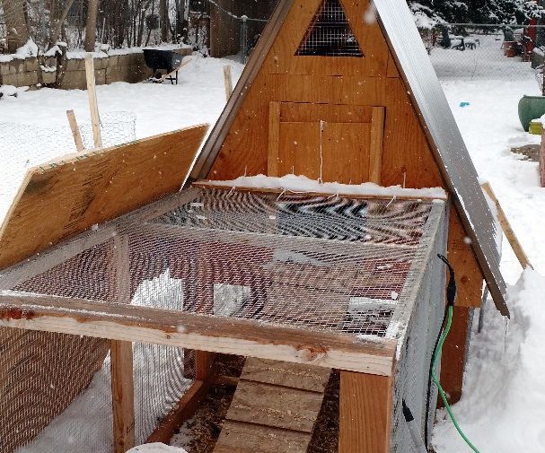 Automated Chicken Coop