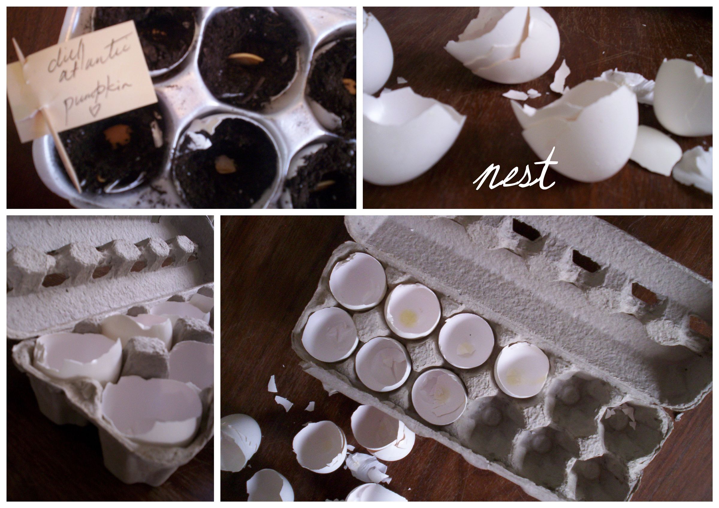 Biodegradable Seedling Pots