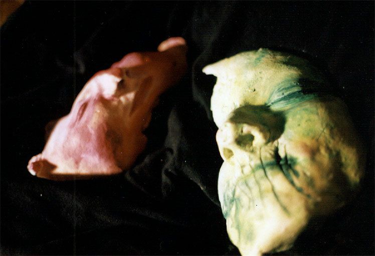 Shrunken Head, No Headhunting Required! Costs Under $25.