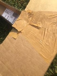 Step 3: Fin and Wings