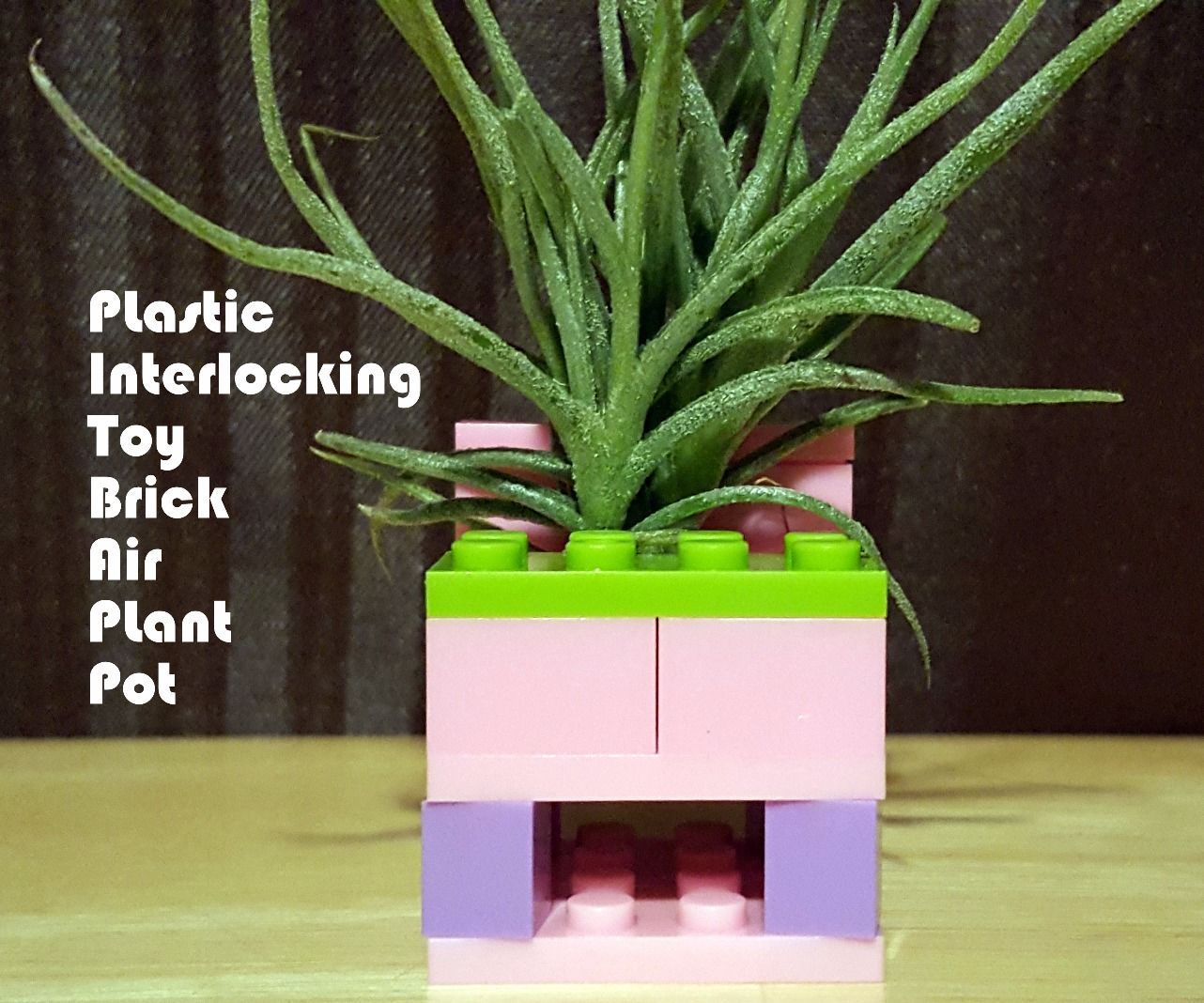 Plastic Interlocking Toy Brick Air Plant Pot (or PITBAPP for Short)