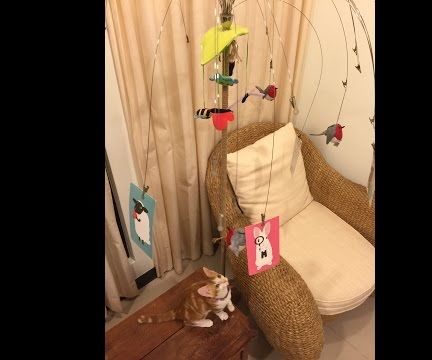 Cat bouncing toy
