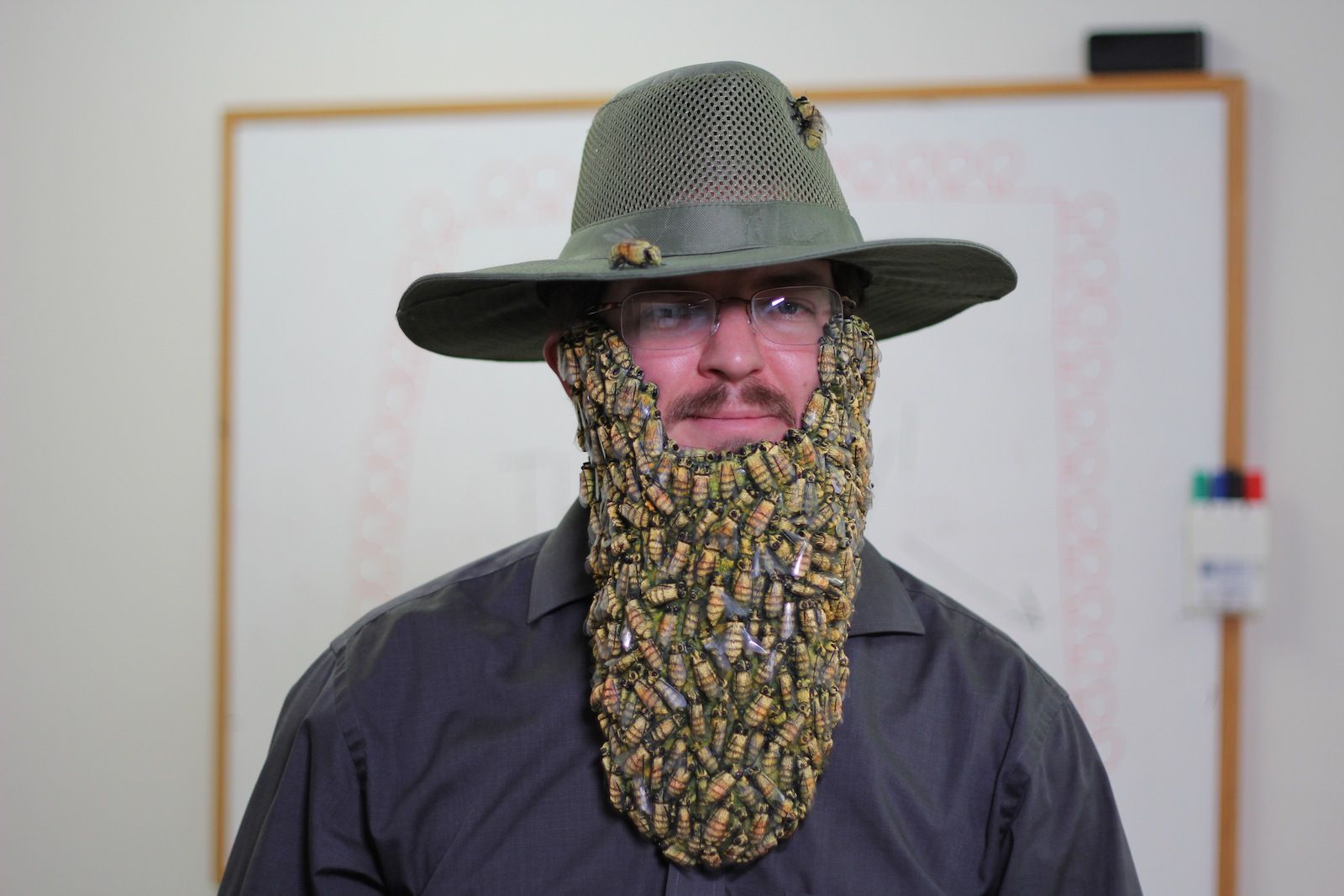 Beard of Bees Costume