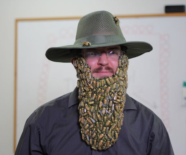 Beard of Bees Costume