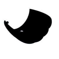 download {{ file.name }}