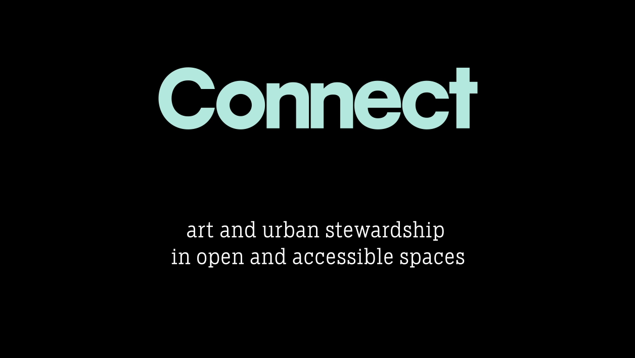 Connect: A Reverse Gallery