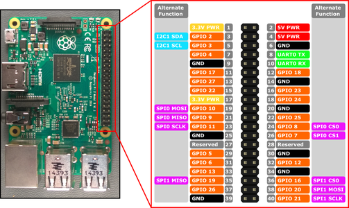 Sensor Setup