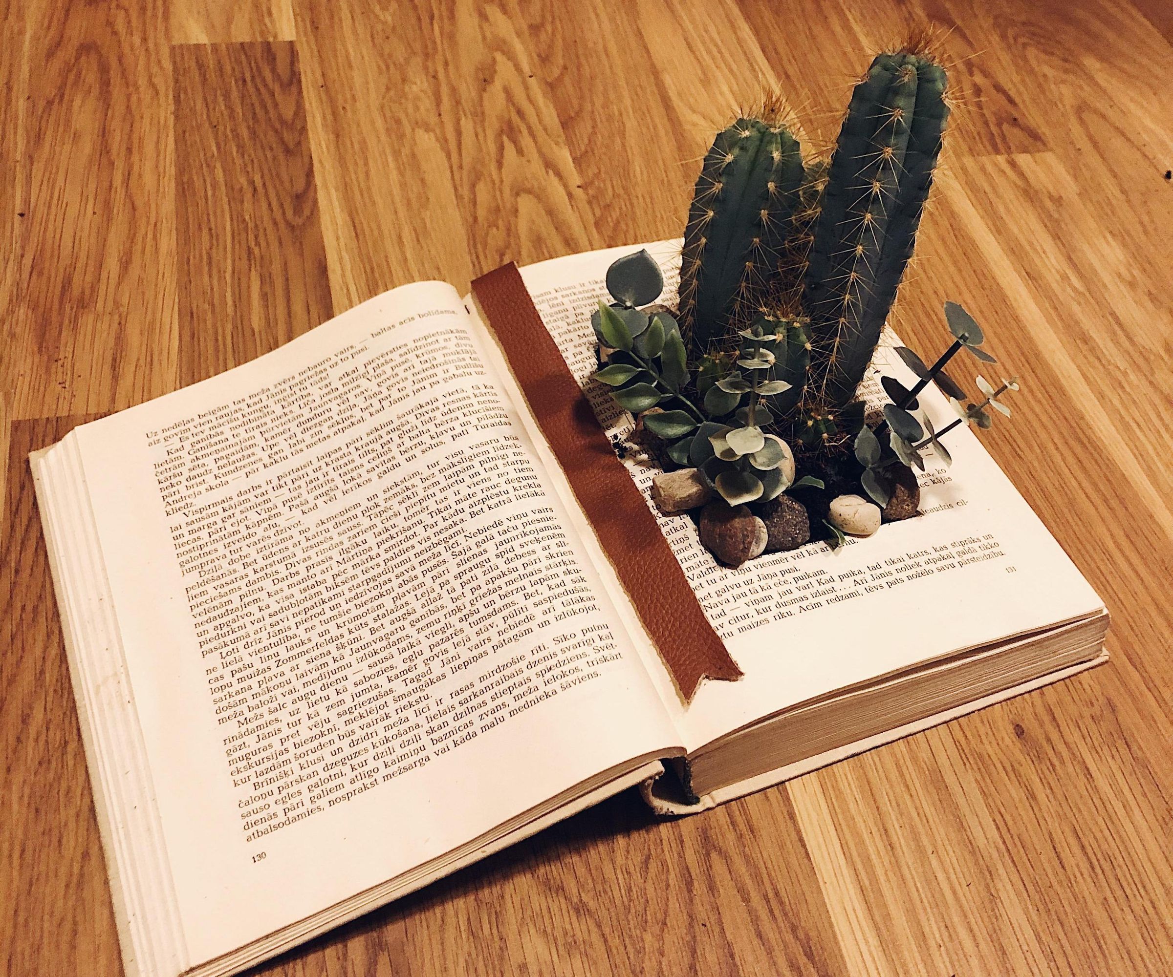 Turn an Old Book Into Magical Garden!