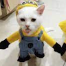 DobiousDooer