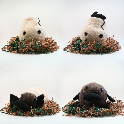 egg and platypus friends
