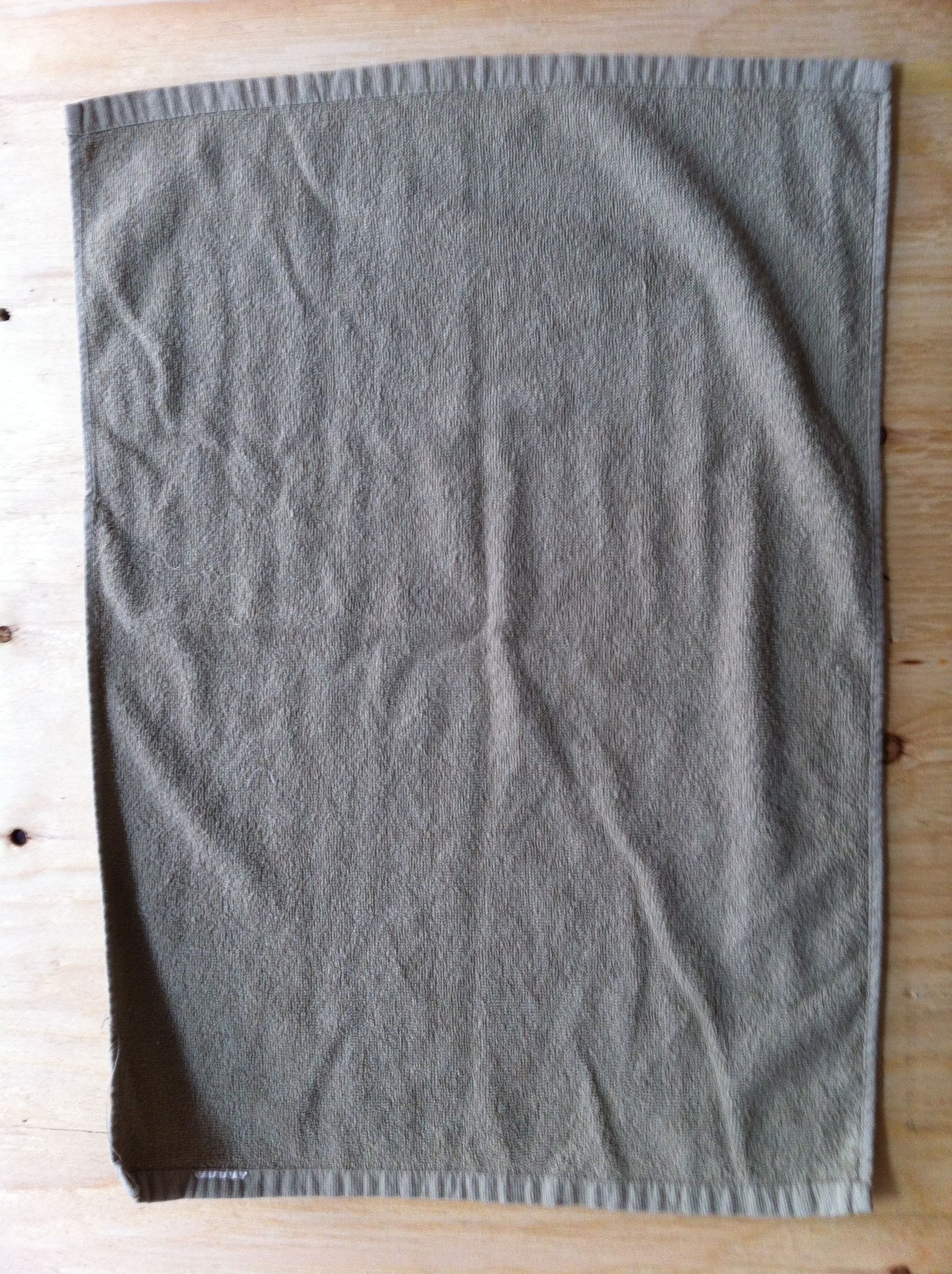 Turn a Towel Into a Chicken