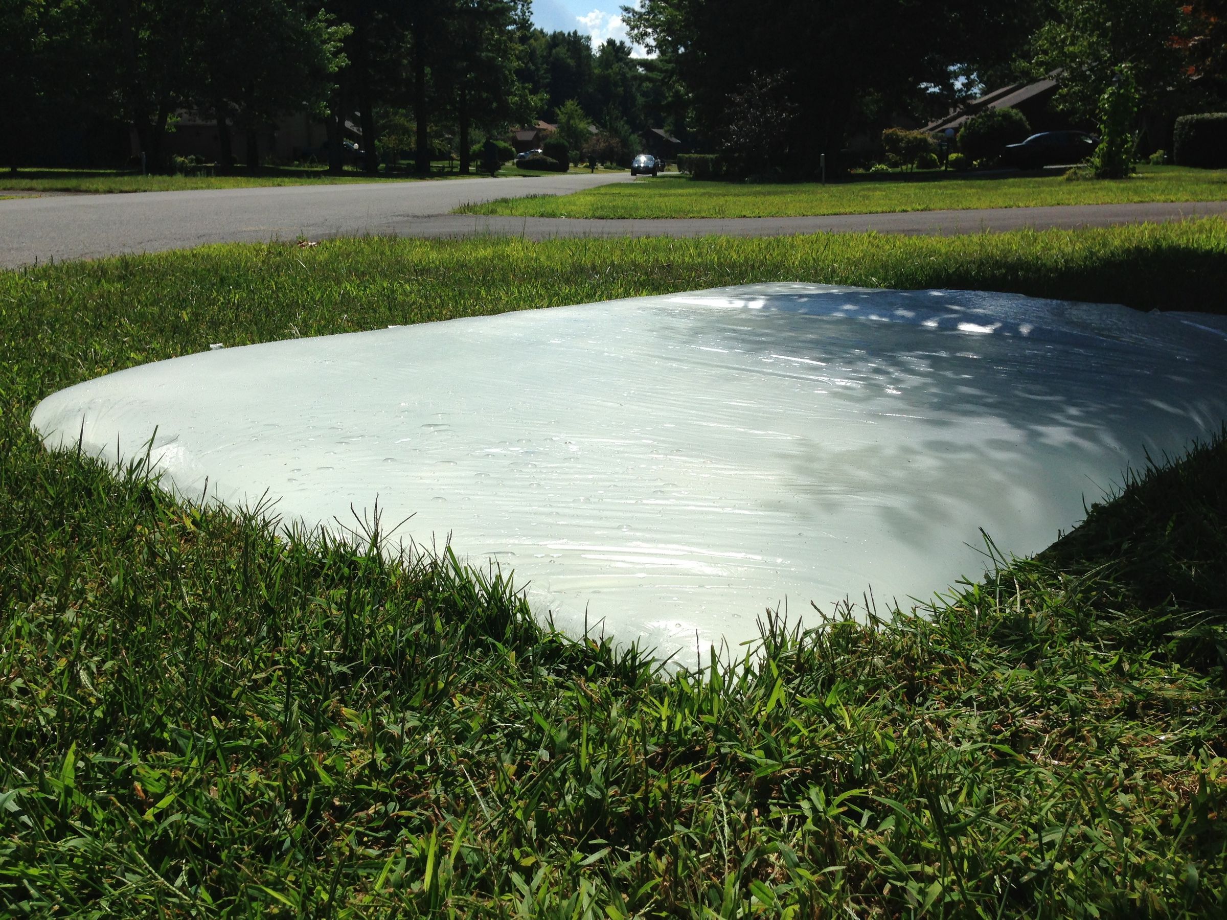 The Blob
