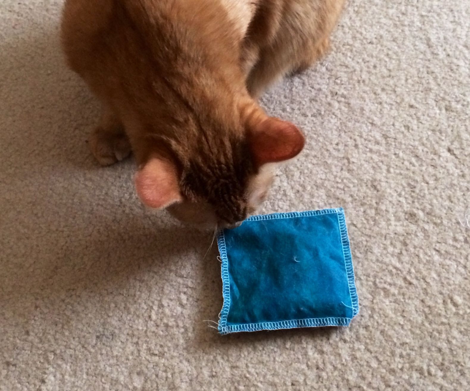 Catnip Pillow Toy