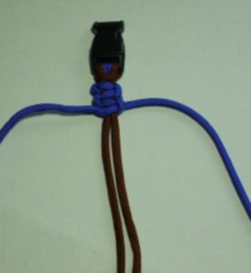 Begining the Pattern...