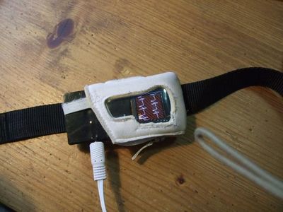 ECG With Display and SD-Card