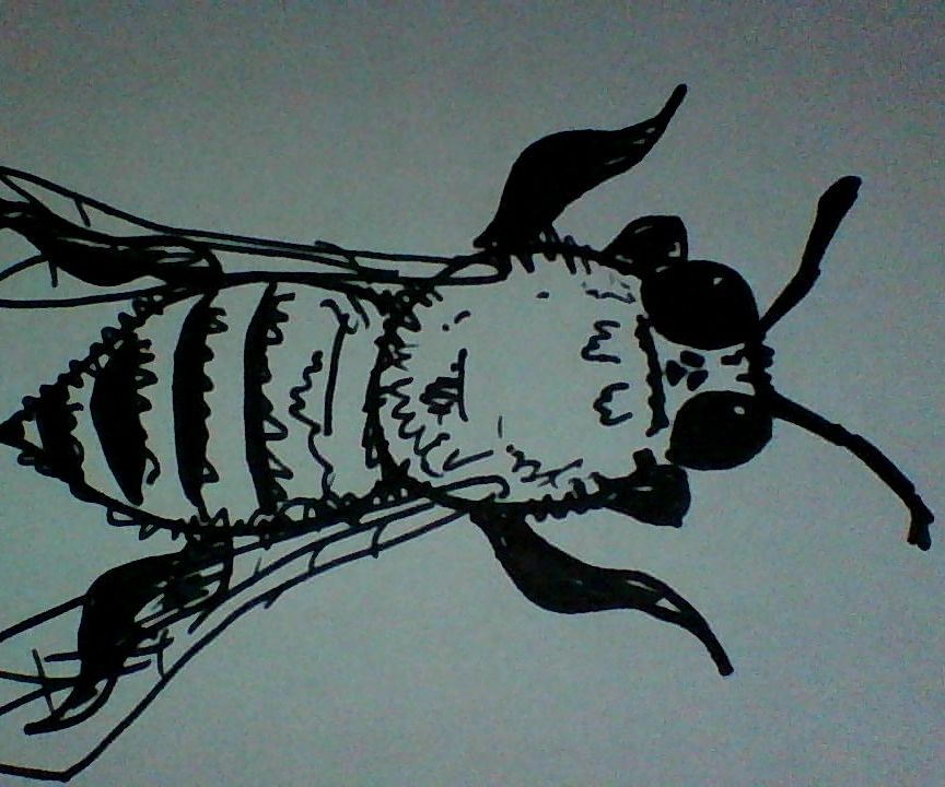 BEE-ing Artistic!