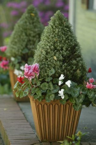 Woodland Topiary Workshop