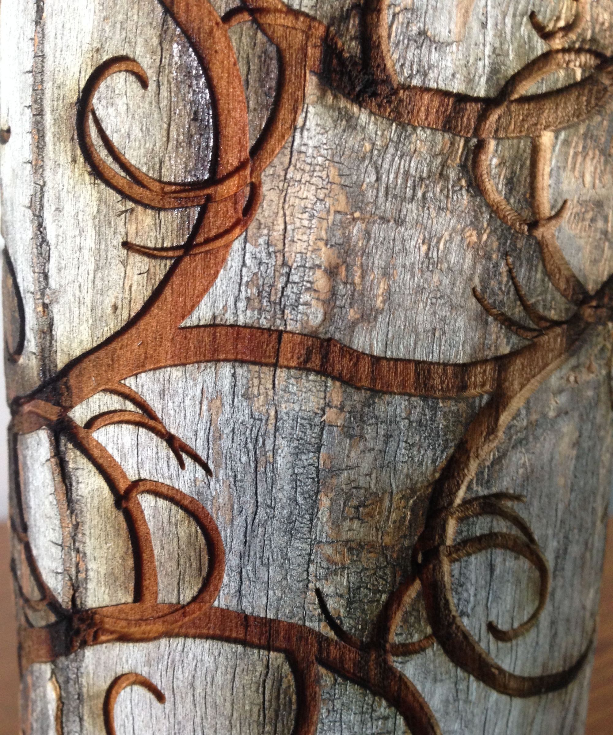 One Log, Two Projects