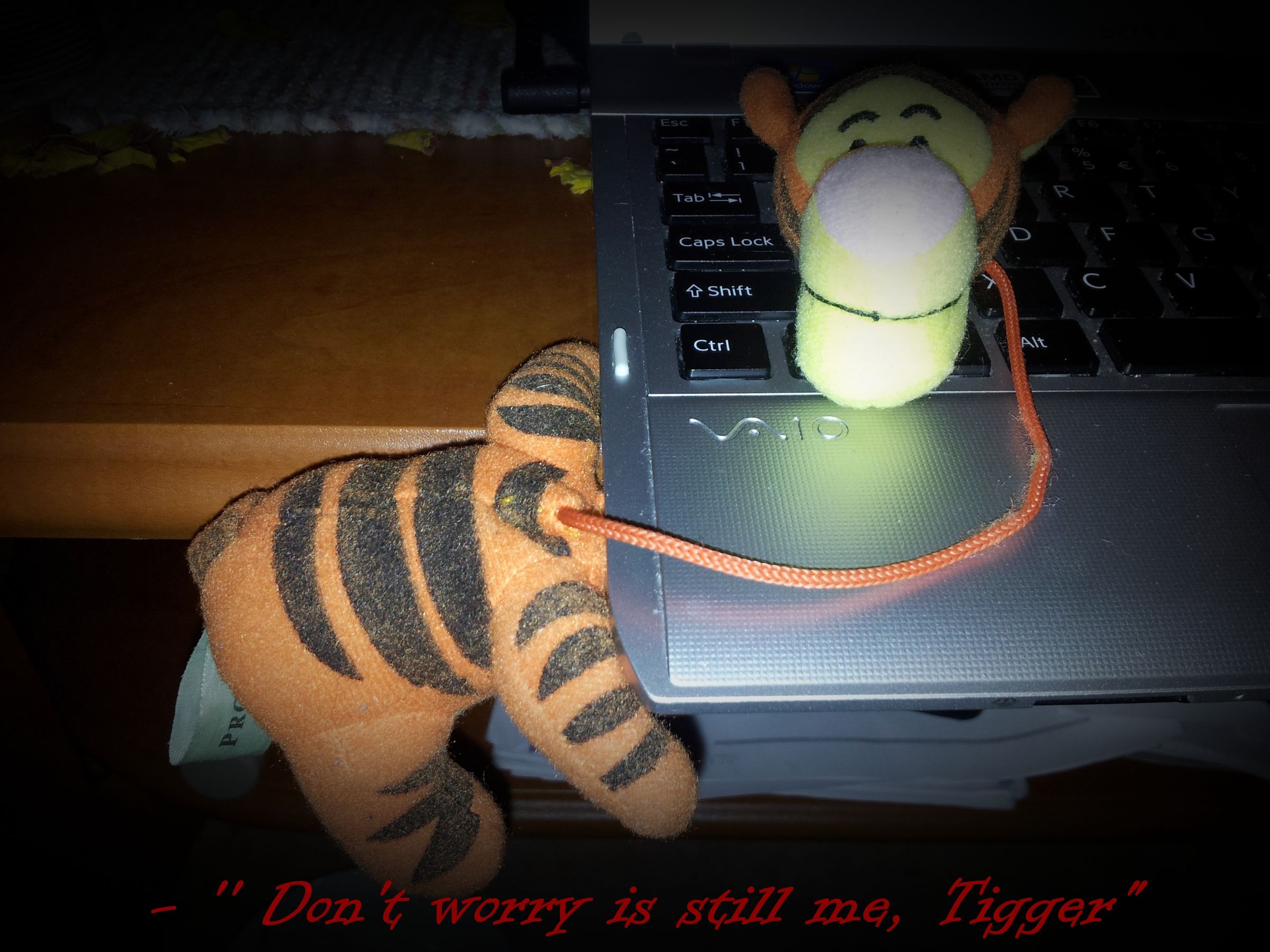 Tigger Evolution