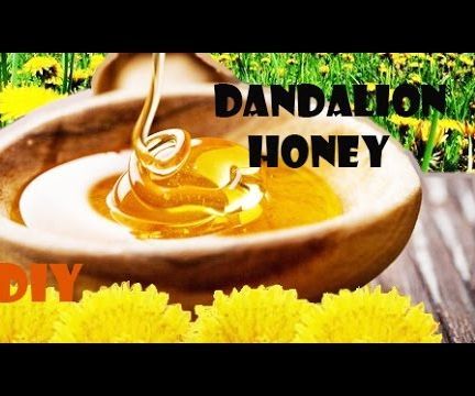 DIY: How to make DANDELION HONEY (great old recipe)