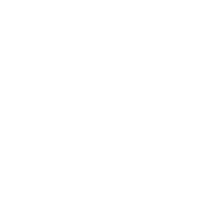 download {{ file.name }}