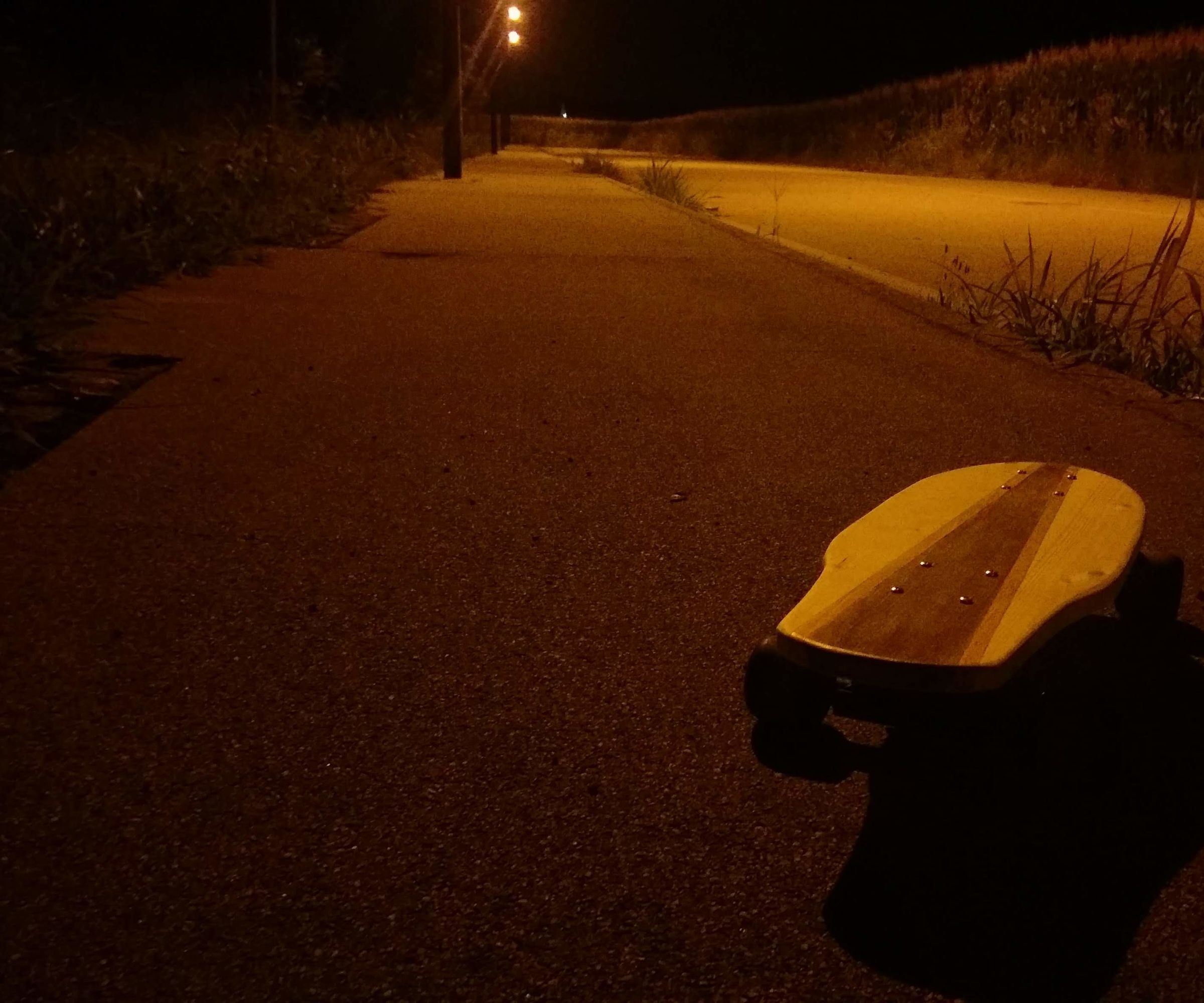 Simple Wooden Skateboard