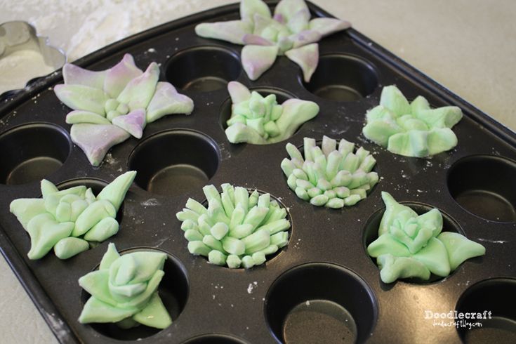 Edible Succulent Terrarium Cupcakes! : 5 Steps (with Pictures) -  Instructables
